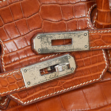 Hermes Fauve Niloticus Crocodile Birkin 30 Bag