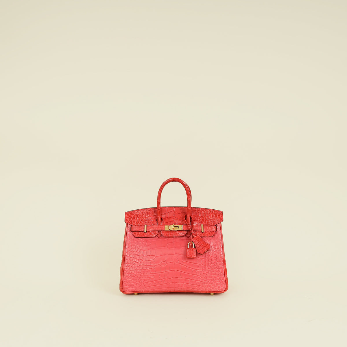 Hermes Bi-Color Matte Alligator Mississippiensis Birkin 25 Bag