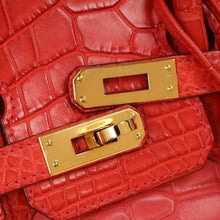 Hermes Bi-Color Matte Alligator Mississippiensis Birkin 25 Bag