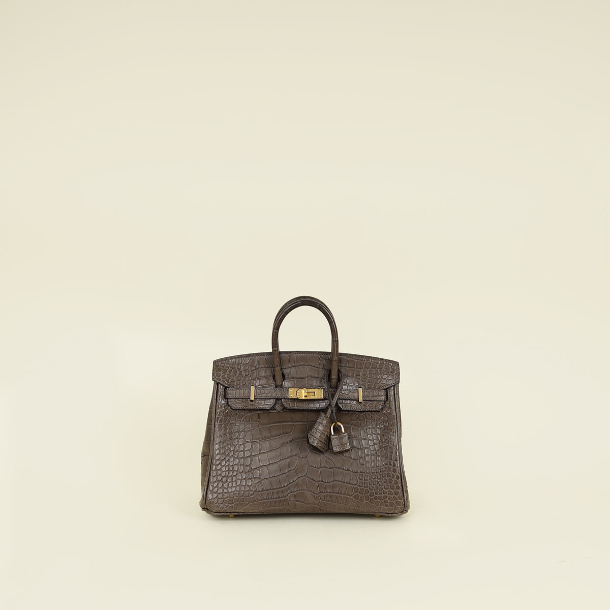 Hermes Gris Elephant 8C Matte Alligator Mississippiensis Birkin 25 Bag