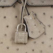 Hermes Gris Tourterelle Ostrich Retourne Birkin 30 Bag