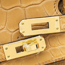 Hermes Chai Retourne Birkin Touch 25 Bag