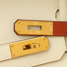 Hermes Multicolor Colormatic Birkin 30 Bag