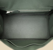 Hermes Tricolor Birkin 25 Bag