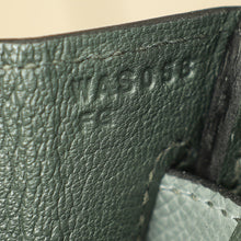 Hermes Tricolor Birkin 25 Bag