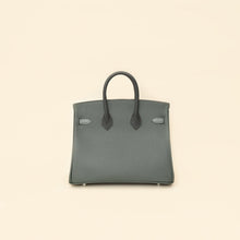 Hermes Tricolor Birkin 25 Bag