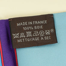 Hermes Violet Multicolor Au Bloc Fringed Twilly