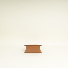 Jacquemus Tan Le Chiquito Moyen Bag