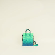 Louis Vuitton Bicolor Monogram Illussion Sac Plat XS Bag