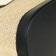 Louis Vuitton Bicolor Raffia Petit Bucket Bag