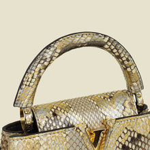 Louis Vuitton Bicolor Python Mini Capucines Bag
