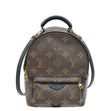 Louis Vuitton Monogram Palm Spring Mini Backpack Bag