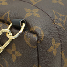 Louis Vuitton Monogram Palm Spring Mini Backpack Bag