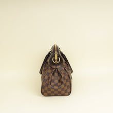 Louis Vuitton Damier Ebene Trevi PM Bag