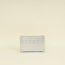 Louis Vuitton Silver Alligator Petite Malle Bag