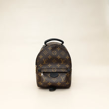 Louis Vuitton Brown Monogram Palm Springs Mini Bag