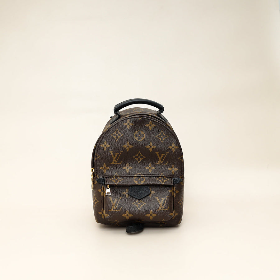 Louis Vuitton Brown Monogram Palm Springs Mini Bag
