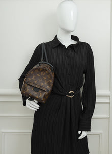Louis Vuitton Brown Monogram Palm Springs Mini Bag