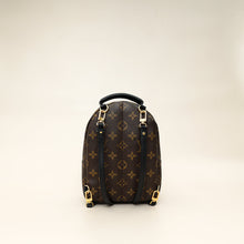 Louis Vuitton Brown Monogram Palm Springs Mini Bag