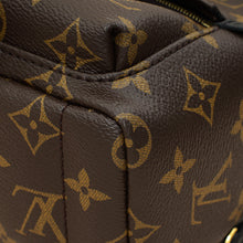 Louis Vuitton Brown Monogram Palm Springs Mini Bag