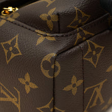 Louis Vuitton Brown Monogram Palm Springs Mini Bag