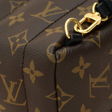Louis Vuitton Brown Monogram Palm Springs Mini Bag