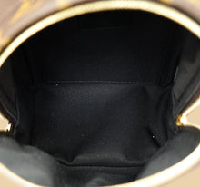 Louis Vuitton Brown Monogram Palm Springs Mini Bag