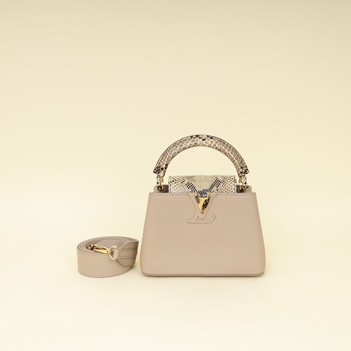 Louis Vuitton Galet Grey Mini Capucines Bag