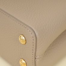 Louis Vuitton Galet Grey Mini Capucines Bag