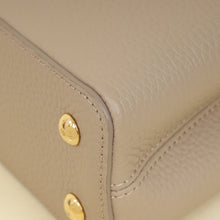 Louis Vuitton Galet Grey Mini Capucines Bag