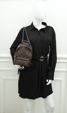 Louis Vuitton Monogram Mini Palm Springs Backpack Bag