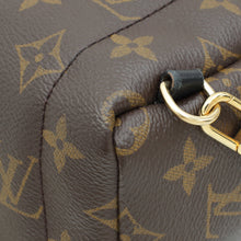 Louis Vuitton Monogram Mini Palm Springs Backpack Bag
