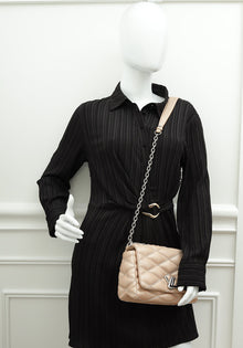 Louis Vuitton Metallic Champaign Go-14 MM Bag