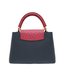 Louis Vuitton Bicolor Taurillon Ostrich Capucines BB Bag