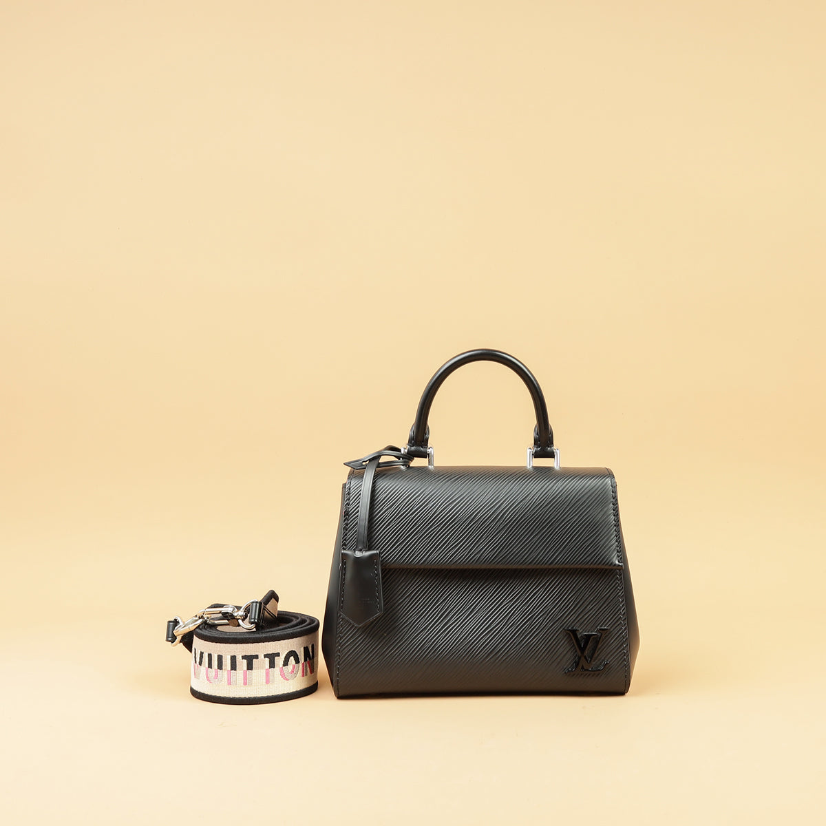 Louis Vuitton Noir Cluny Mini Bag