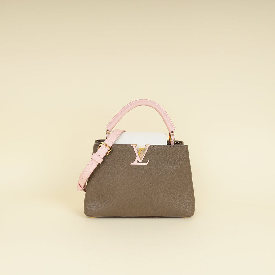Louis Vuitton Multicolor Capucines BB Taurillon Bag
