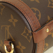 Louis Vuitton Brown Monogram Papillon Trunk Bag