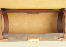 Louis Vuitton Brown Monogram Papillon Trunk Bag