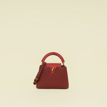 Louis Vuitton Bicolor Mini Capucines Bag