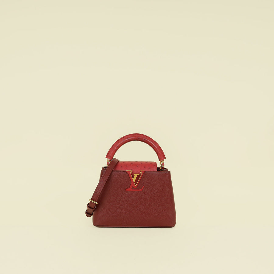 Louis Vuitton Bicolor Mini Capucines Bag