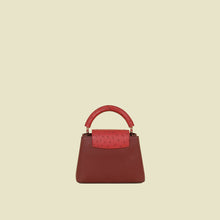Louis Vuitton Bicolor Mini Capucines Bag