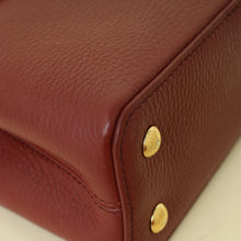 Louis Vuitton Bicolor Mini Capucines Bag