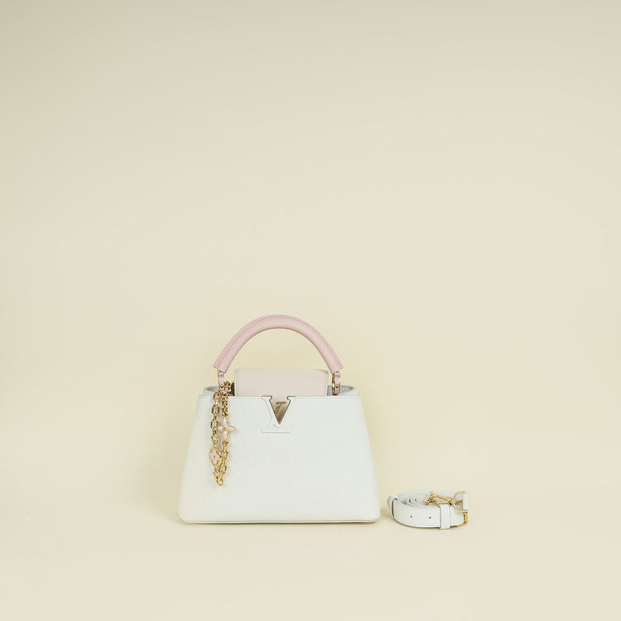 Louis Vuitton Tricolor Capucines BB Bag