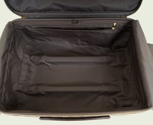 Louis Vuitton Damier Ebene Pegase 55 Trolly Bag