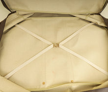Louis Vuitton Brown Constellation Series Sirius 70 Bag