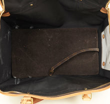 Louis Vuitton Brown Dog Carrier 40