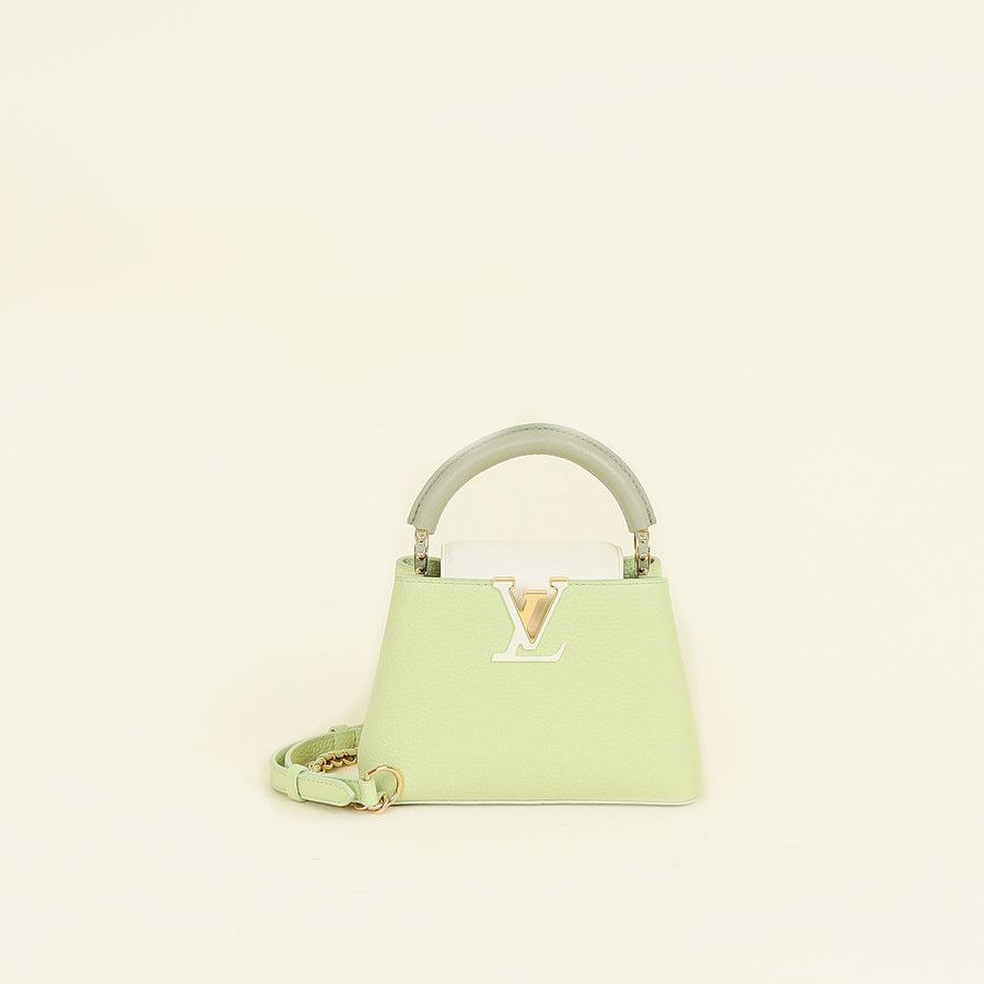 Louis Vuitton Tricolor Mini Capucines Bag