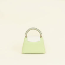 Louis Vuitton Tricolor Mini Capucines Bag