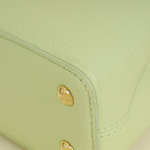Louis Vuitton Tricolor Mini Capucines Bag