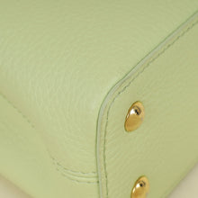 Louis Vuitton Tricolor Mini Capucines Bag